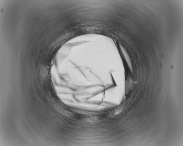 X0000086100278200704202248