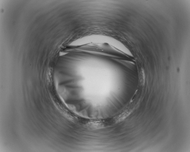 X0000086100280200704202248