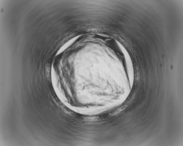 X0000086100281200704202248