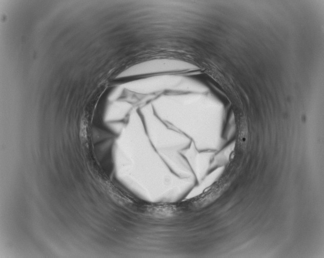 X0000086100282200704202248