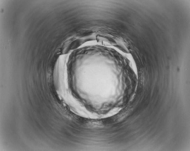 X0000086100283200704202248