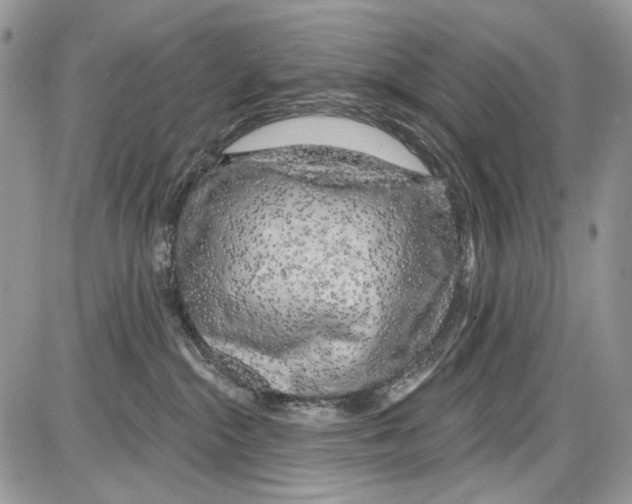 X0000086100284200704202248