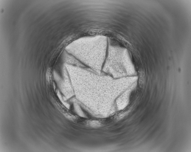 X0000086100287200704202249