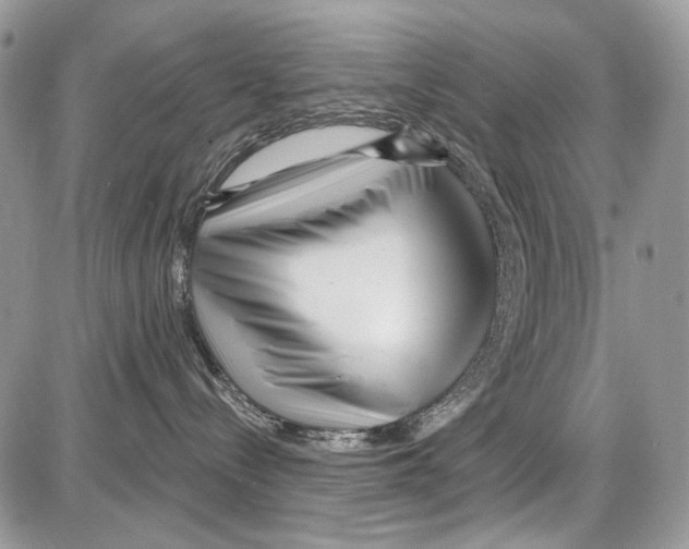 X0000086100288200704202249
