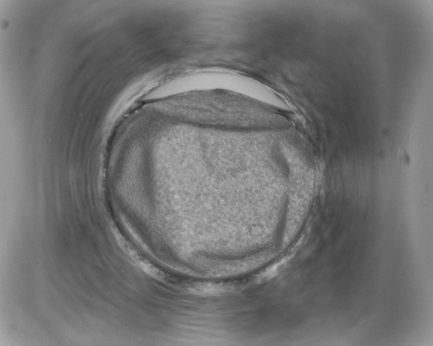 X0000086100293200704202248