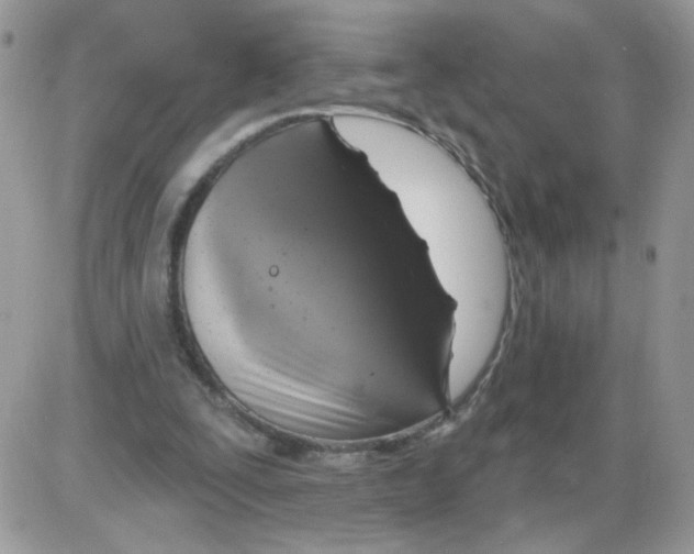 X0000086100295200704202248