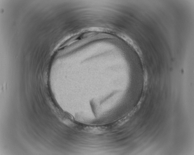 X0000086100297200704202248