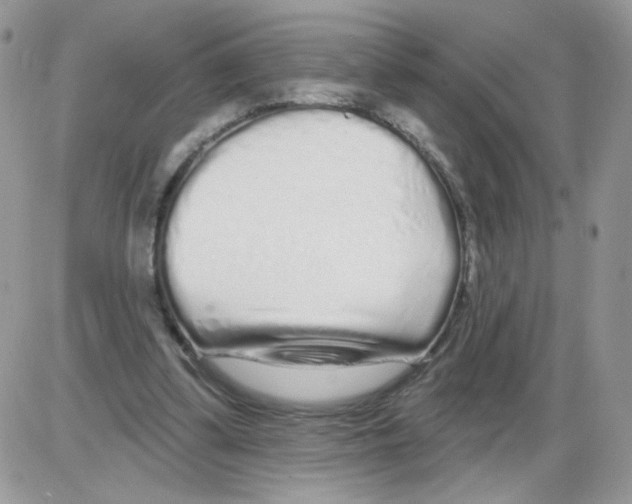 X0000086100299200704202248