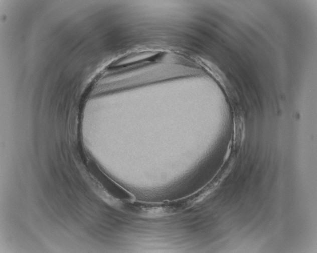 X0000086100301200704202248