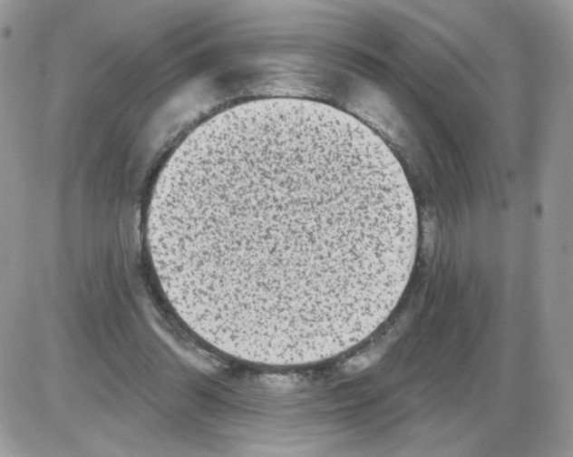 X0000086100302200704202248