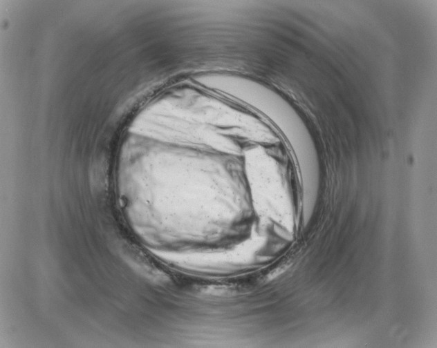 X0000086100303200704202248