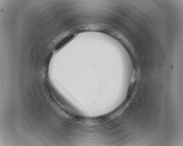 X0000086100305200704202247