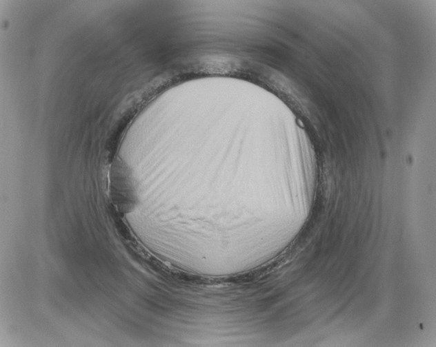 X0000086100307200704202247