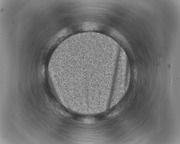 X0000086100308200704202247