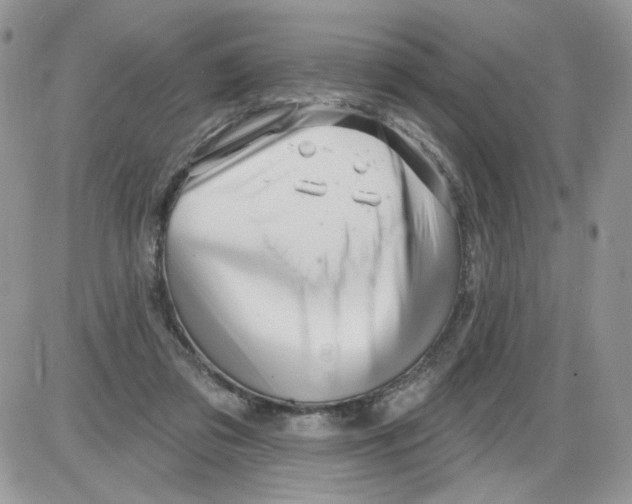 X0000086100309200704202247