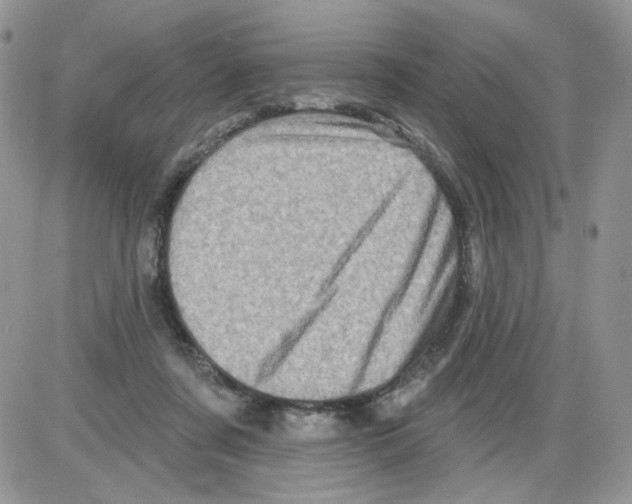 X0000086100311200704202247