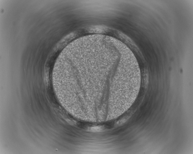 X0000086100312200704202247