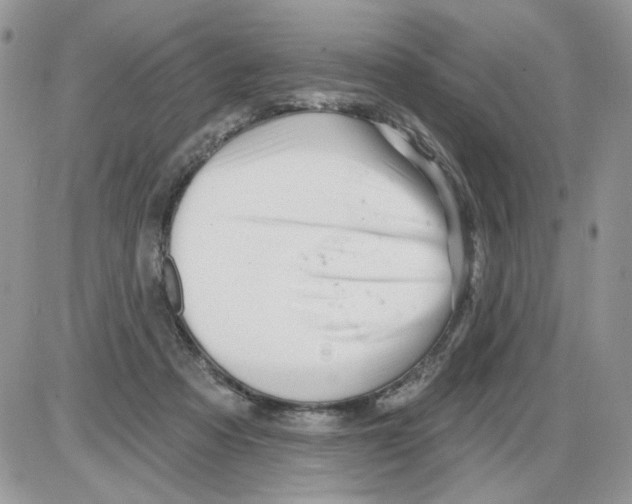 X0000086100313200704202247