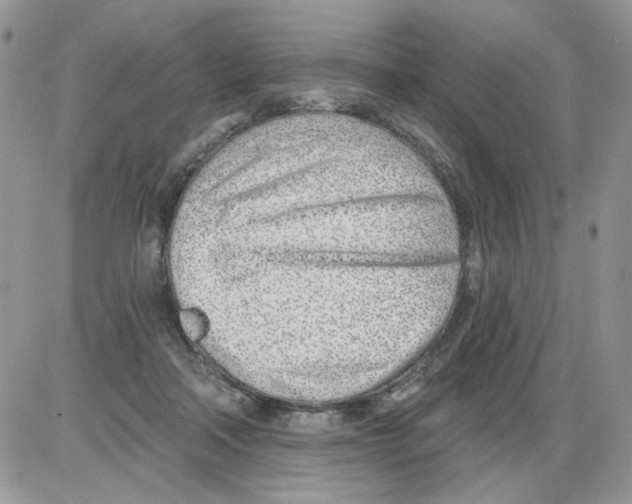 X0000086100314200704202247