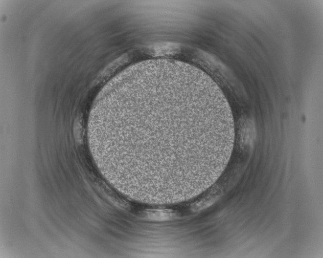 X0000086100316200704202247