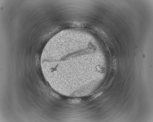 X0000086100318200704202247