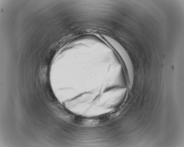 X0000086100319200704202247