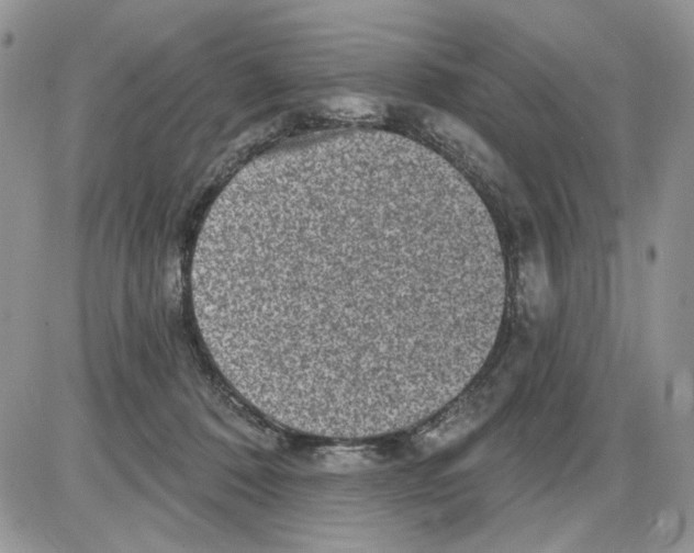 X0000086100320200704202247