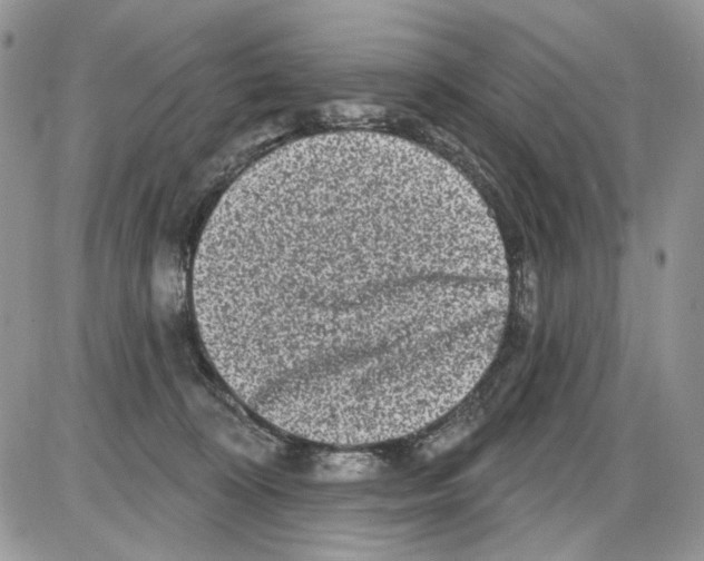 X0000086100324200704202247