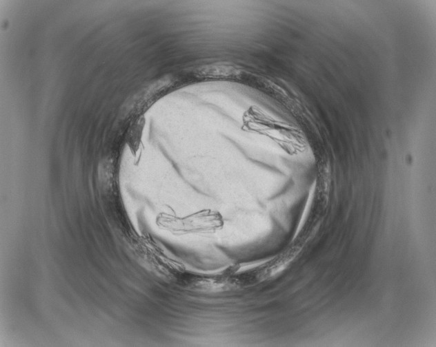 X0000086100326200704202247