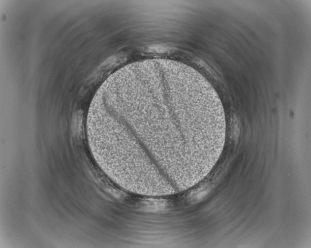X0000086100328200704202247