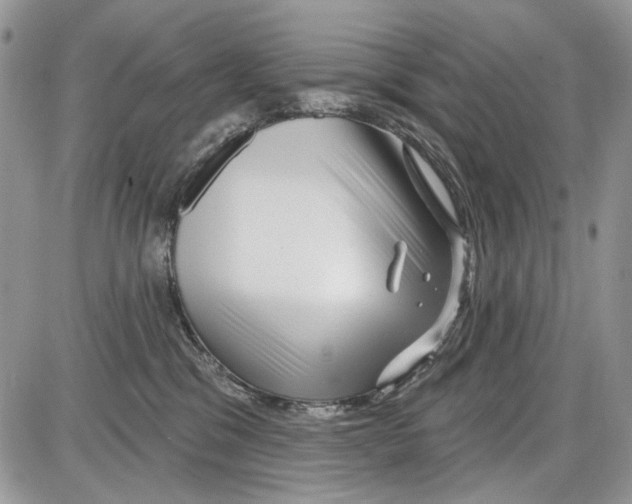 X0000086100329200704202247