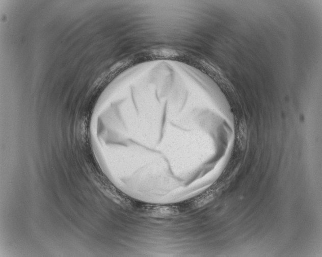 X0000086100330200704202247