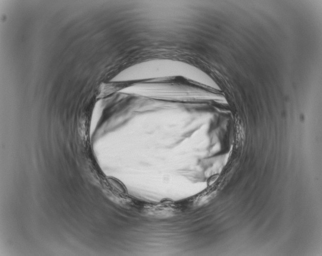 X0000086100331200704202247