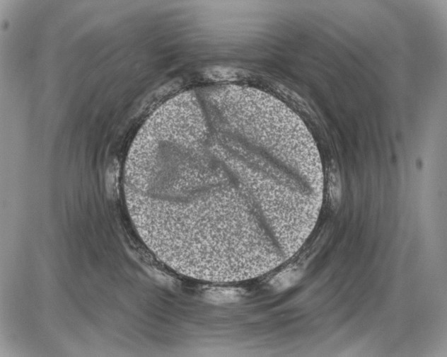 X0000086100332200704202247