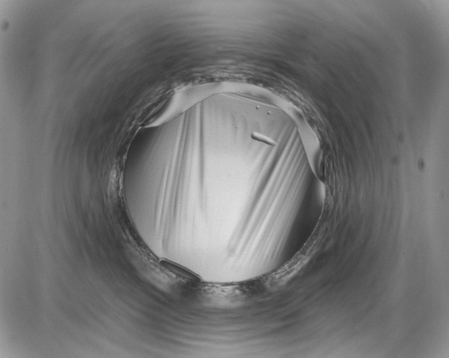 X0000086100333200704202247