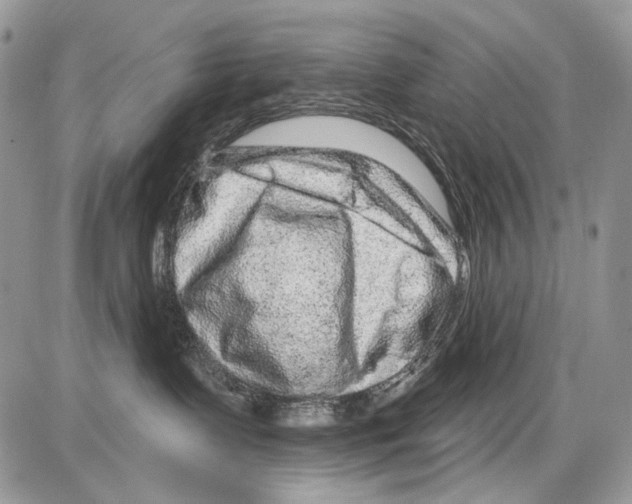 X0000086100335200704202247