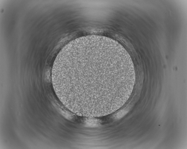 X0000086100336200704202247