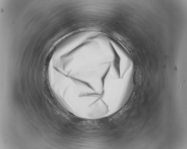 X0000086100338200704202246