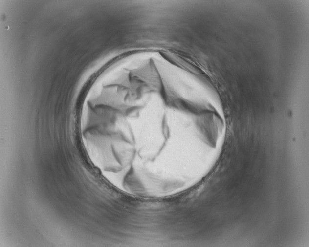 X0000086100342200704202246