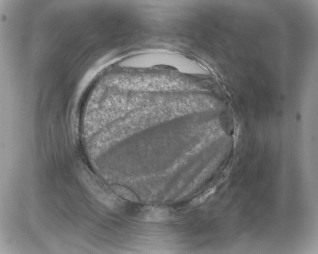 X0000086100343200704202246
