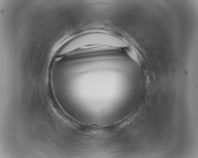 X0000086100344200704202246