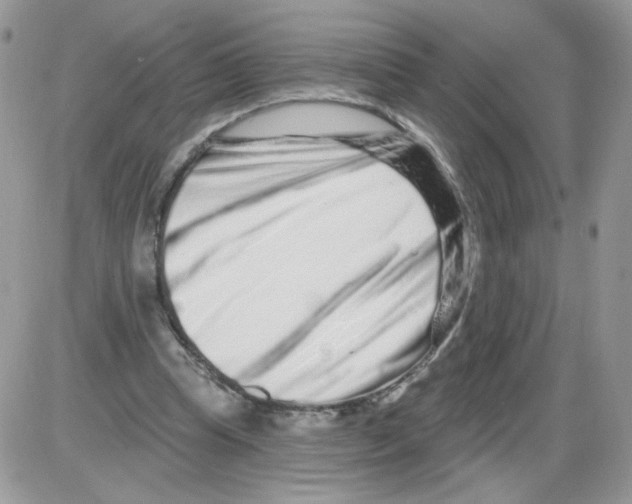 X0000086100345200704202246