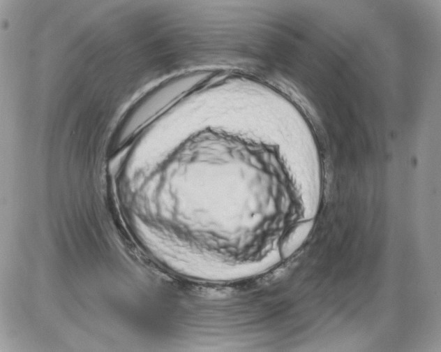 X0000086100346200704202246
