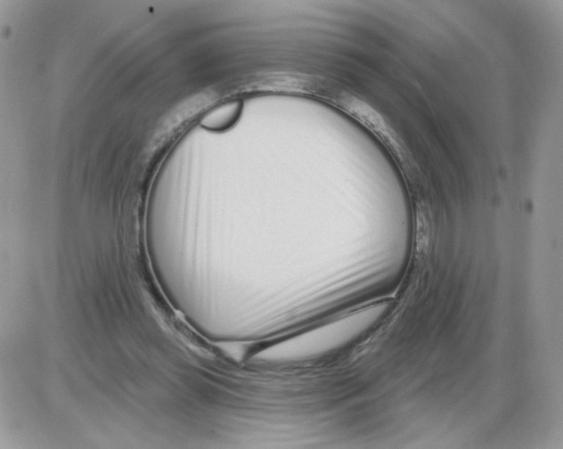 X0000086100349200704202246