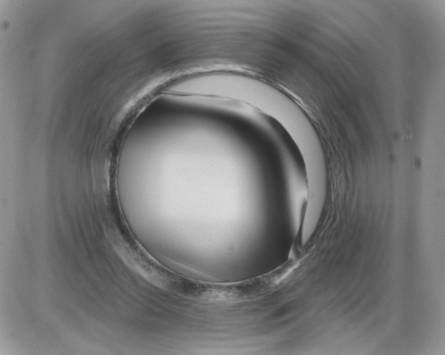 X0000086100350200704202246