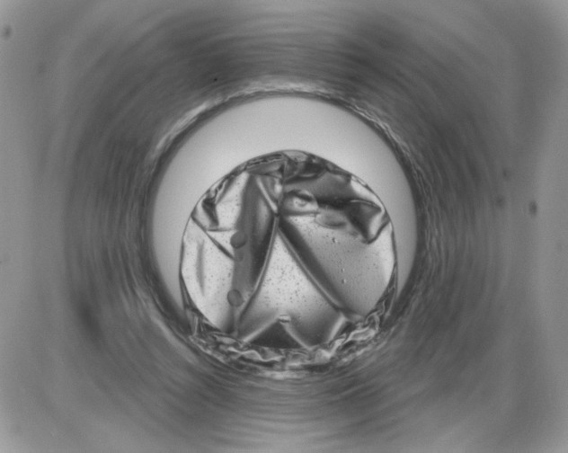 X0000086100352200704202246