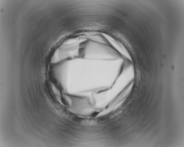 X0000086100354200704202246