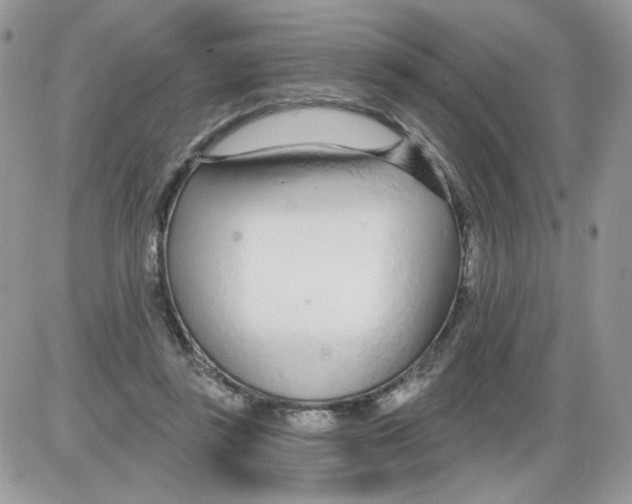 X0000086100355200704202247