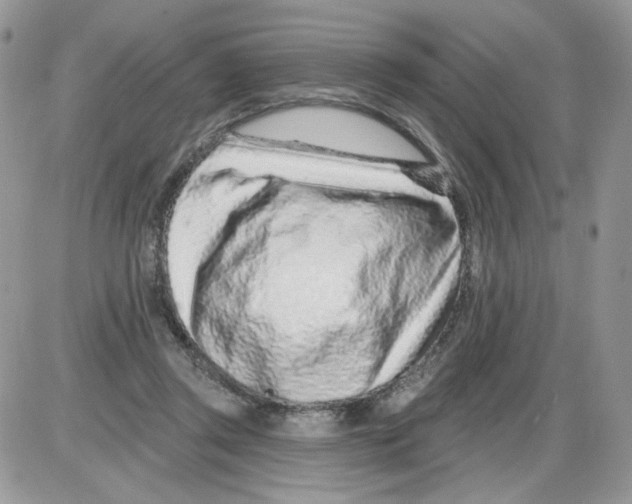 X0000086100357200704202247