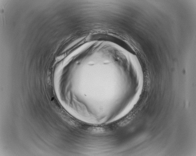 X0000086100361200704202247